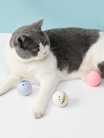 Fishbone Pattern 3PCS Pet Chasing Toy Balls Set