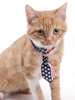 Flag Pattern Pet Tie