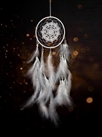 Flower Lace Feather Fringe Beads Hanging Dreamcatcher