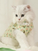 Flowers Pattern Lace Trim Design Cat Vest