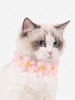 Flowers Shape Cat Collar