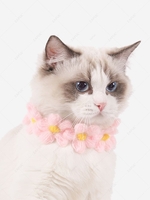 Flowers Shape Cat Collar