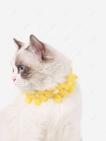 Flowers Shape Cat Collar