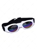 Foldable Pet Sunglasses