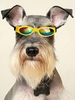 Foldable Pet Sunglasses