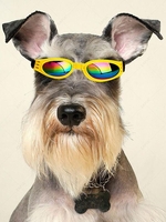 Foldable Pet Sunglasses