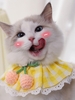 Gingham Floral Crochet Eyelet Insert Cat Collar