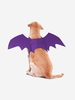 Halloween Cosplay Pet Bat Harness