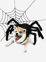 Halloween Cosplay Pet Spider Clothes
