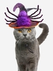 Halloween Costume Metallic Thread Spider Decor Pet Hat