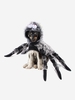 Halloween Fluffy Spider Shape Pet Harness