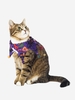 Halloween Pattern Bells Decor Pet Collar Scarf