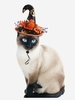 Halloween Patterned Dotted Mesh Panel Pet Hat