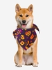 Halloween Pet Cat Dog Collar