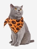 Halloween Pet Cat Dog Collar