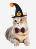 Halloween Pumpkin Pet Hat With Dots Bowknot Tie