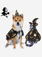 Halloween Star and Pumpkin Print Cosplay Pet Wizard Cloak and Hat Set