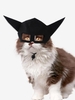 Halloween Style Bat-shaped Pet Hat