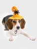 Halloween Style Pet Felt Animal Decor Hat