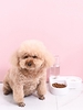 Heart Shape Pet Double Bowl with Water Bottle