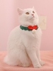 Knitted Bow Decor Pet Scarf
