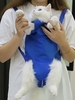 Multifunctional Adjustable Anti-scratch Cat Bag