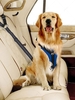 Multiway Dog Cat Pet Seat Belt Vehicle Car Seatbelt Leash