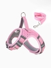 Night Luminous Pet Leash and Harness Set