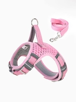 Night Luminous Pet Leash and Harness Set