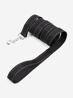 Nylon Reflective Dog Leash
