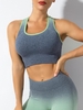 Ombre Colorblock Racer Back Sports Bra S Green