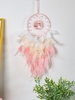 Ombre Feather Tree of Life Hanging Dreamcatcher