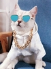 Pair of Heart Cat Pet Glasses