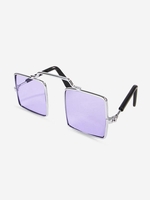 Pair of Square Frame Pet Glasses