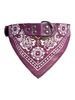 Paisley Pattern Dogs Collar Triangle Scarf
