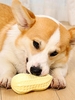 Peanut Shape Squeeze Sound Bite Resistant Dog Toy