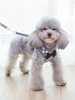 Plaid Pattern Pet Harness and Leash Set with Bell