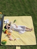 Plaid Pattern Thickened Waterproof Moisture-proof Portable Outdoor Picnic Mat