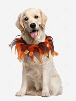 Pumpkin Beaded Halloween Costume Pet Collar