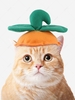 Pumpkin-shaped Halloween Costume Pet Hat