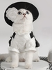 Ruffles Plaid Tweed Pet Dress Clothes