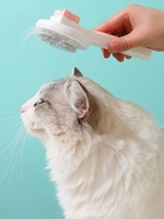Self Cleaning Pet Hair Comb