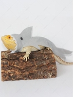 Shark Shape Felt Cloth Lizard Pet Costume