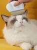 Shell Shape Cat Dog Pet Hair Comb