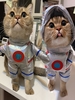 Silver Pet Astronaut Space Suit