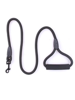 Simple Solid Color Dog Leash