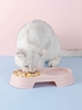 Solid Color Double Pet Bowl