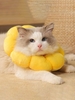 Sunflower Shape Anti-bite Pet Collar