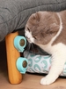 Teeth Cleaning Catnip Rotating Ball