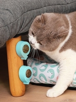 Teeth Cleaning Catnip Rotating Ball